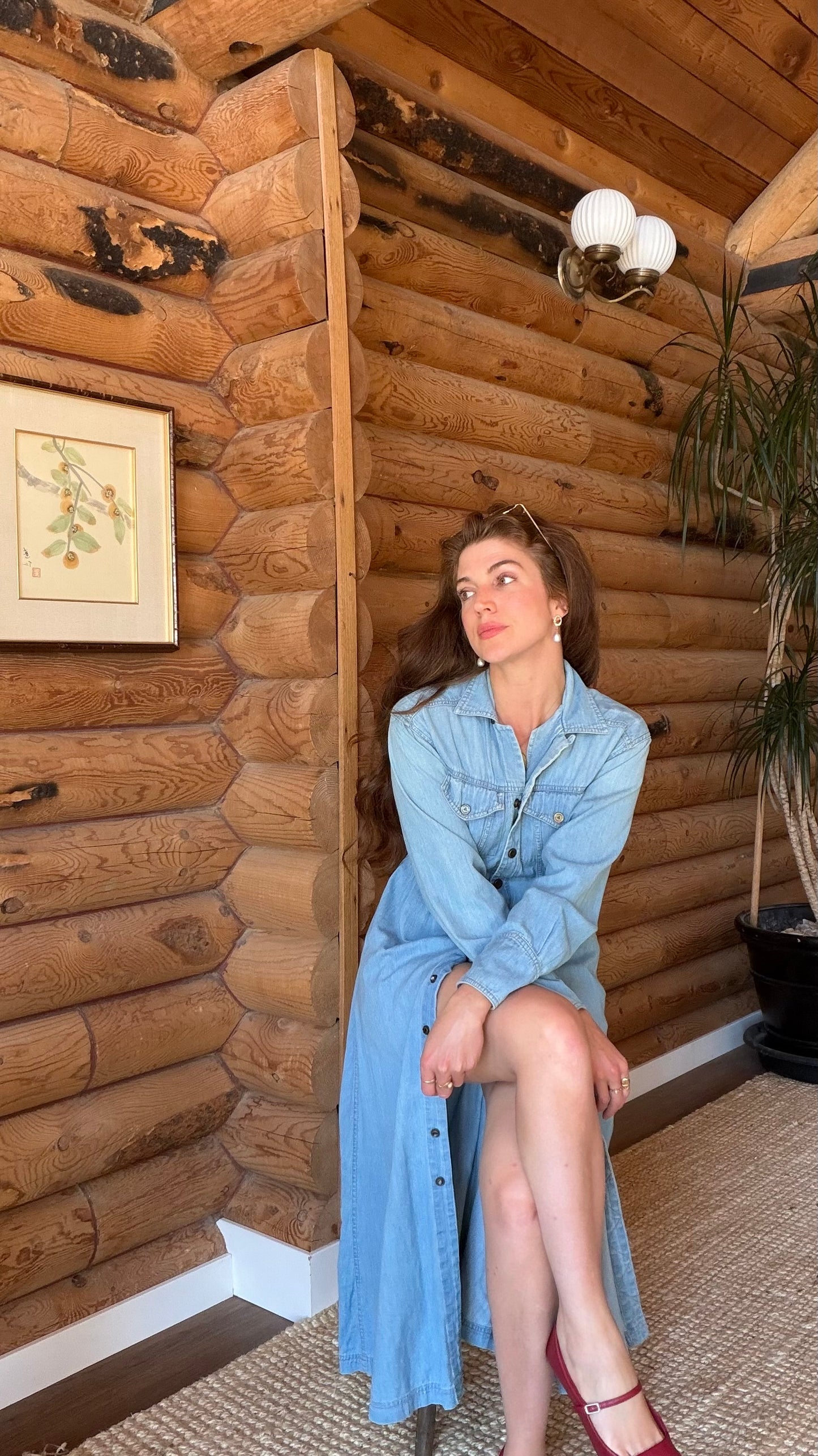 Countryside Chambray Dress